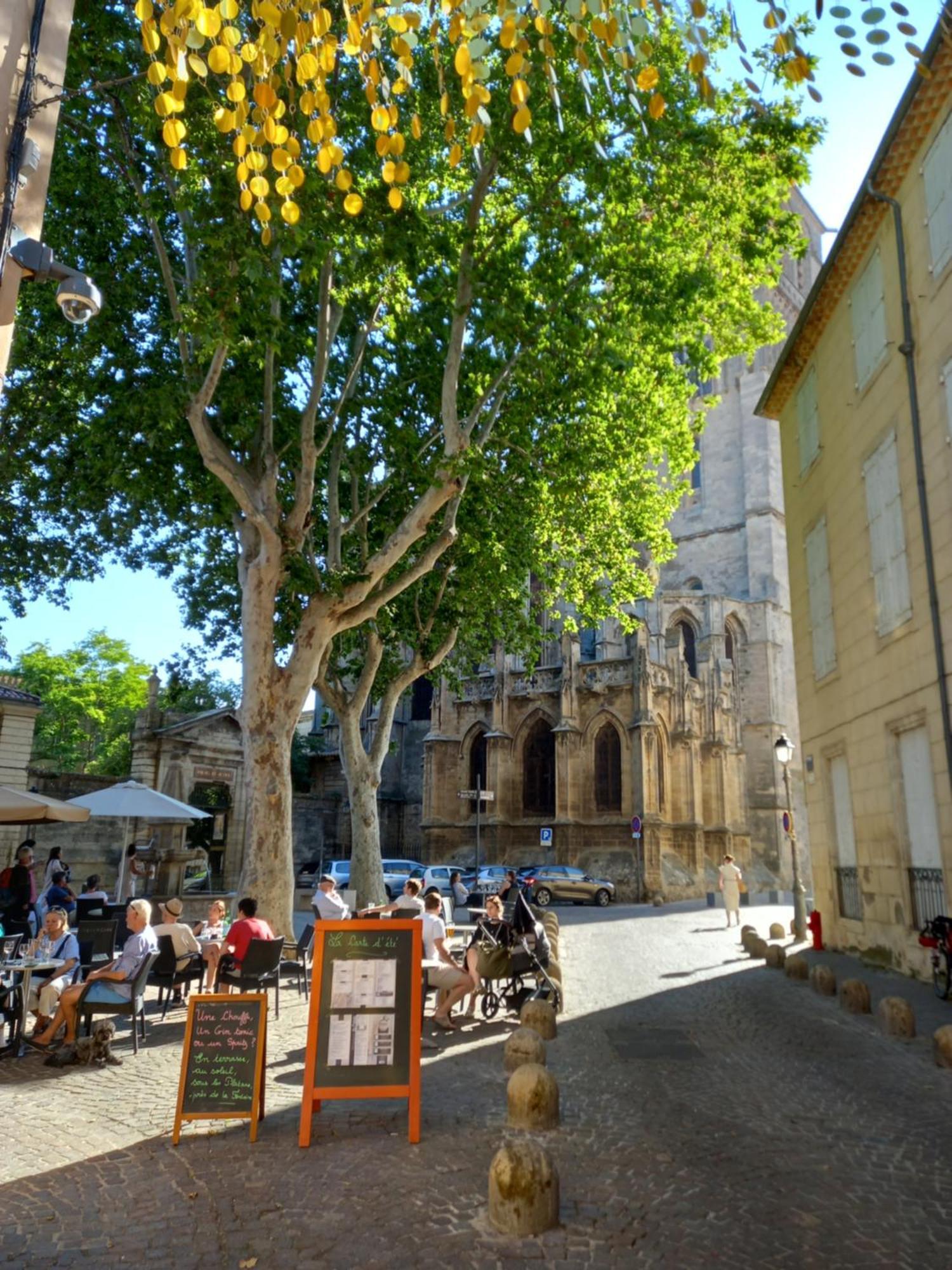 T3 Aqui Es Besiers - Centre-Historique - Cathedrale & Halles - Clim - Wifi - Free Parking Sur Demande Béziers Exteriér fotografie