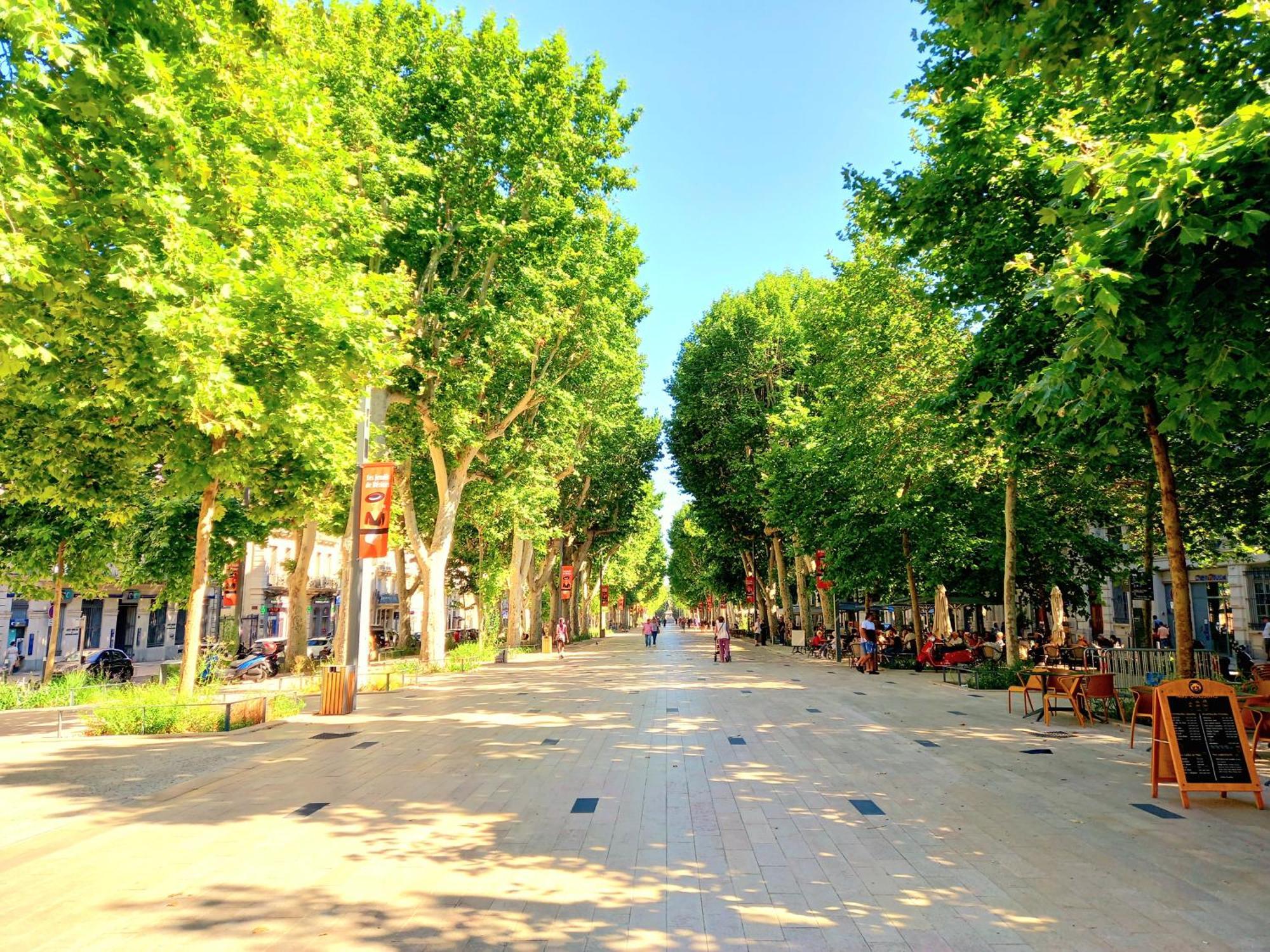 T3 Aqui Es Besiers - Centre-Historique - Cathedrale & Halles - Clim - Wifi - Free Parking Sur Demande Béziers Exteriér fotografie